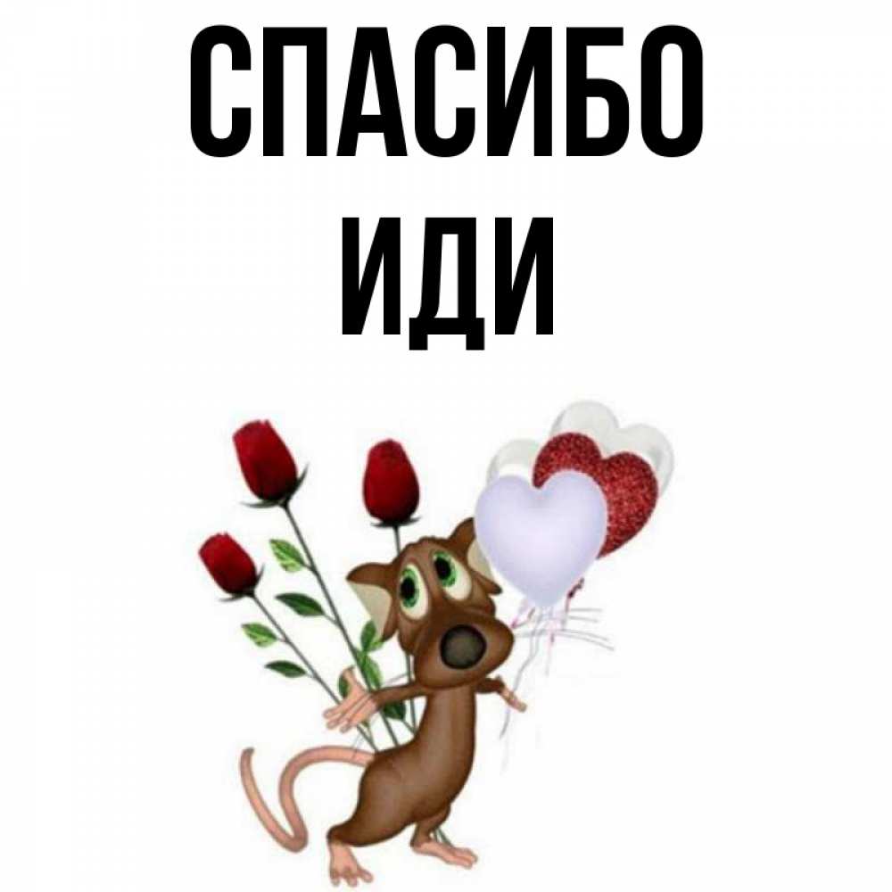 Имя шел