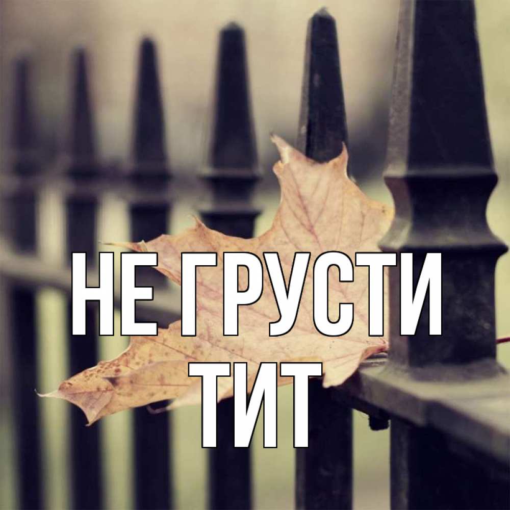 Открытка на каждый день с именем, Тит Не грусти лист клена Прикольная открытка с пожеланием онлайн скачать бесплатно 