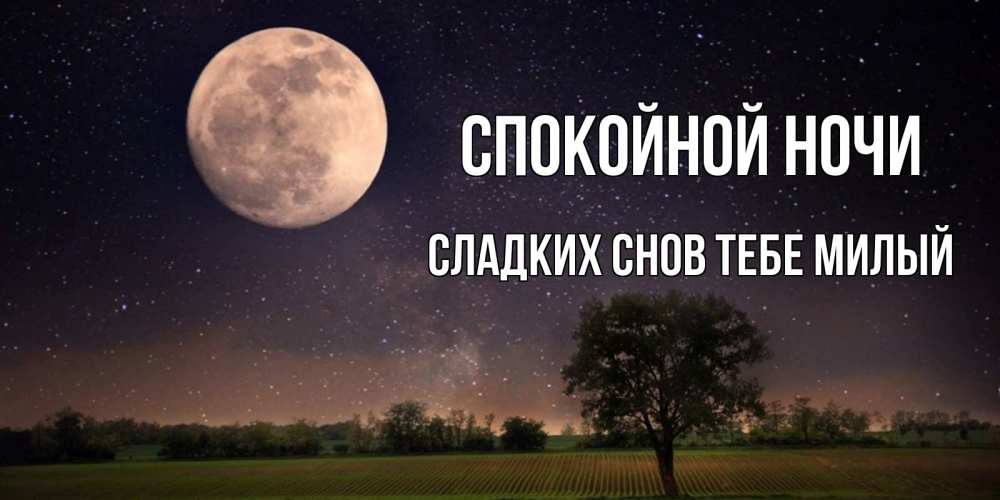 Картинка Спокойной ночи,  сладких снов тебе милый