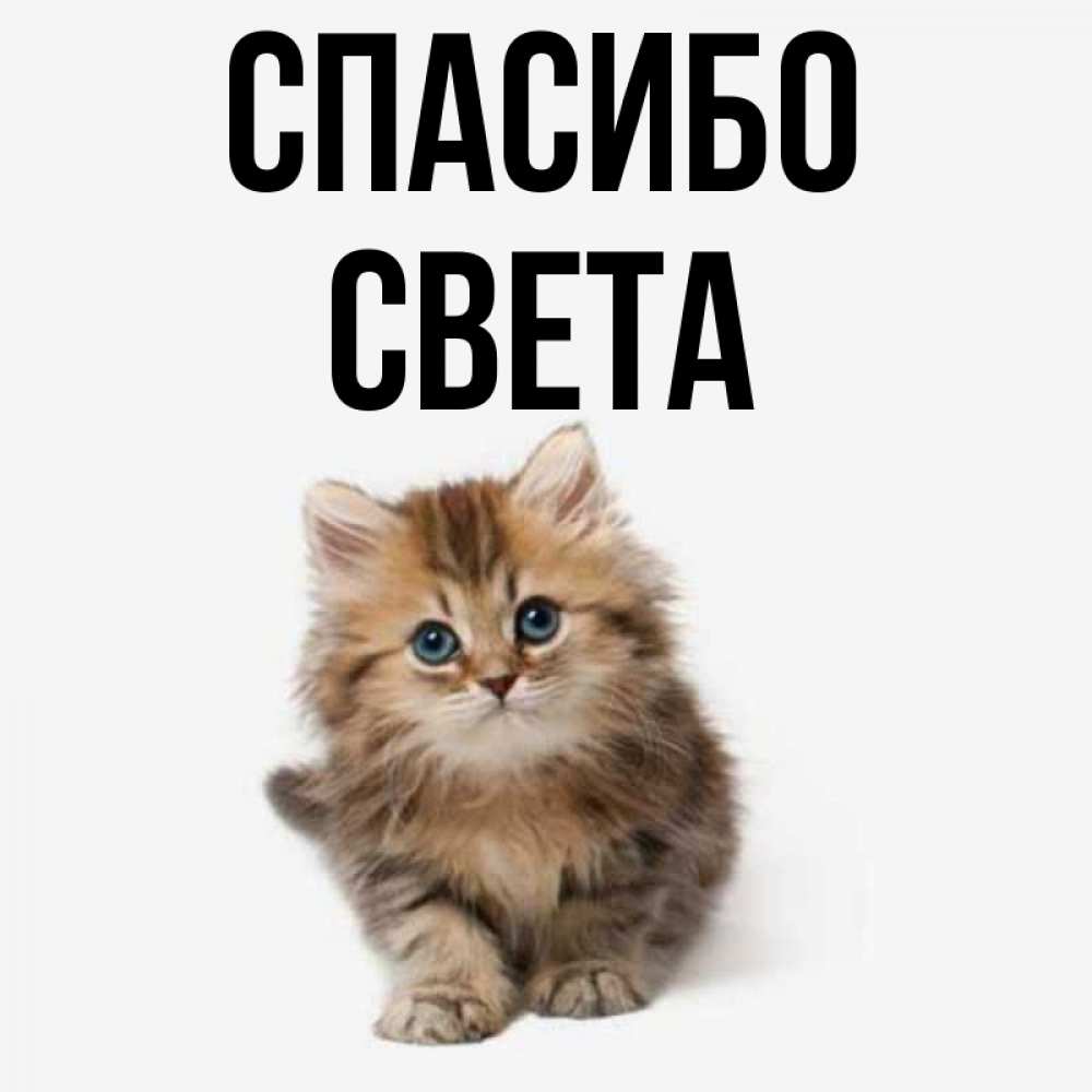 Спасибо света картинки красивые