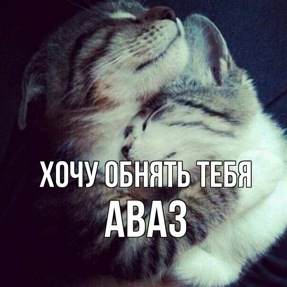 Открытка на каждый день с именем, Аваз Хочу обнять тебя полосатики Прикольная открытка с пожеланием онлайн скачать бесплатно 