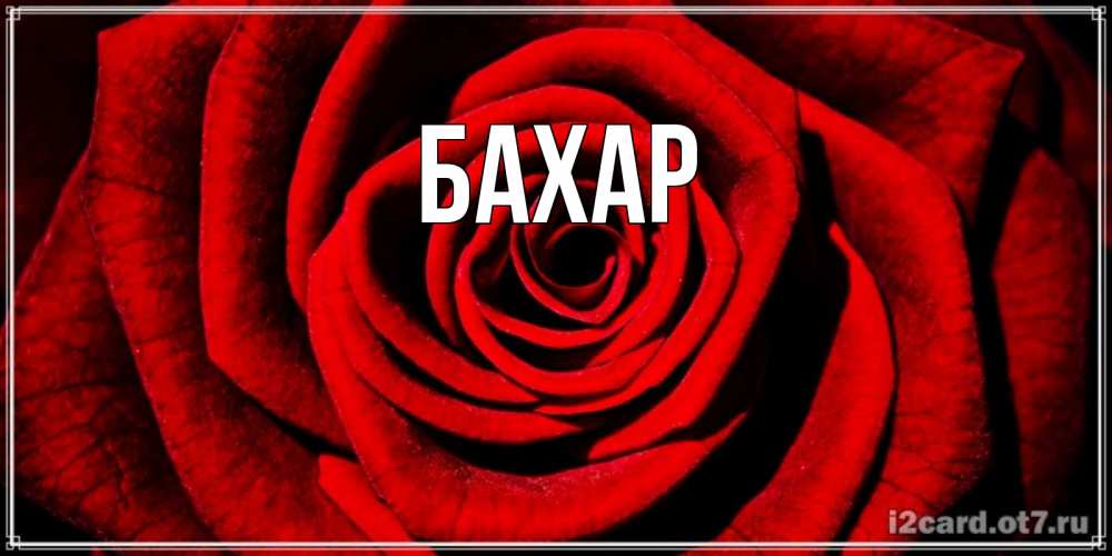 Картинка  с именем , Бахар