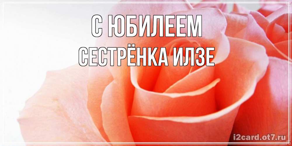 Открытка на каждый день с именем, Сестрёнка-Илзе С юбилеем розы для поздравления с днем рождения Прикольная открытка с пожеланием онлайн скачать бесплатно 