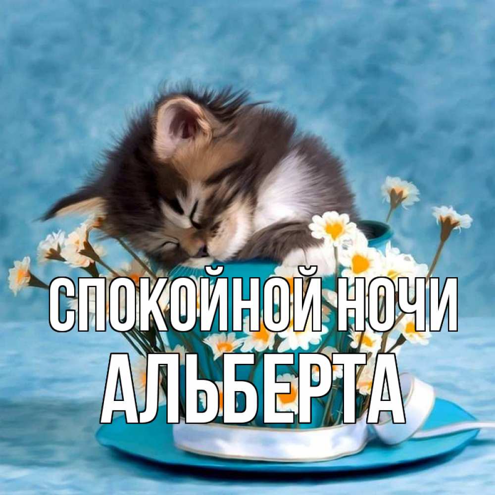 Открытка на каждый день с именем, Альберта Спокойной ночи котенок спит в кружке с блюдцем Прикольная открытка с пожеланием онлайн скачать бесплатно 
