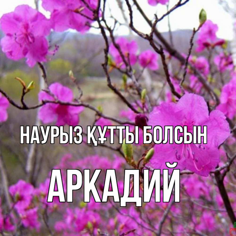Открытка на каждый день с именем, Аркадий Наурыз құтты болсын наурыз мейрамы кутты болсын Прикольная открытка с пожеланием онлайн скачать бесплатно 