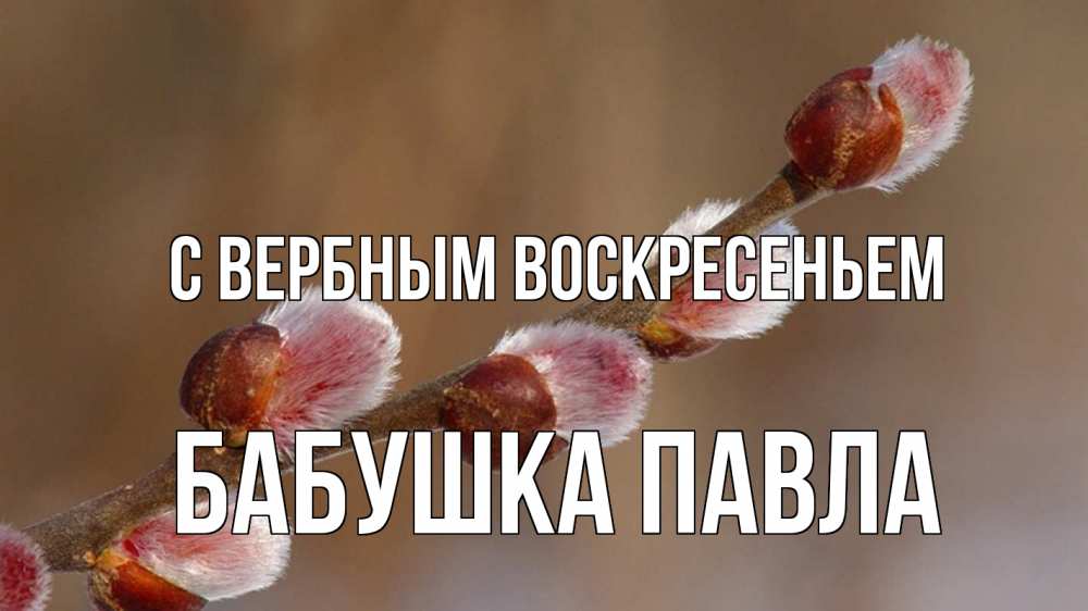 Открытка на каждый день с именем, Бабушка-Павла С вербным воскресеньем верба Прикольная открытка с пожеланием онлайн скачать бесплатно 