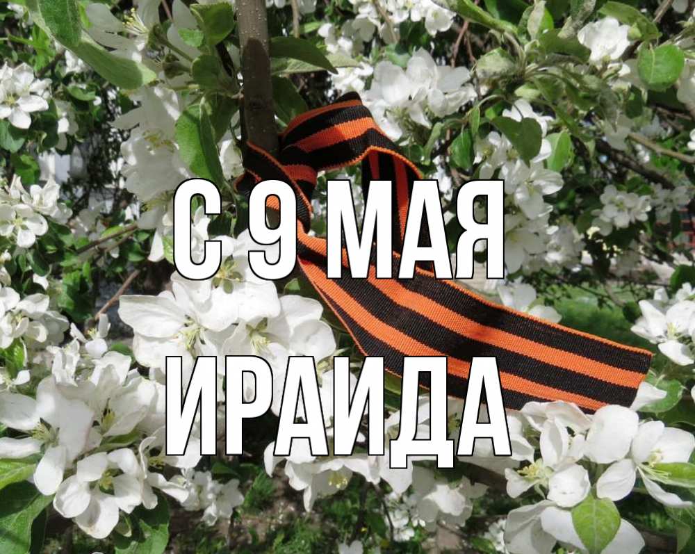 Открытка на каждый день с именем, Ираида С 9 мая 9 мая Прикольная открытка с пожеланием онлайн скачать бесплатно 