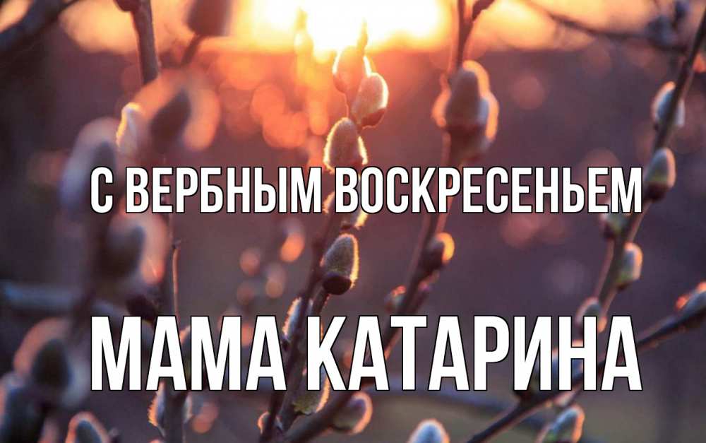Открытка на каждый день с именем, Мама-Катарина С вербным воскресеньем верба Прикольная открытка с пожеланием онлайн скачать бесплатно 
