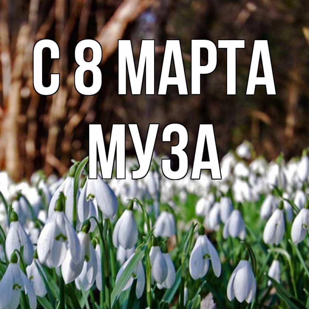Открытка на каждый день с именем, Муза С 8 МАРТА с подснежниками 1 Прикольная открытка с пожеланием онлайн скачать бесплатно 