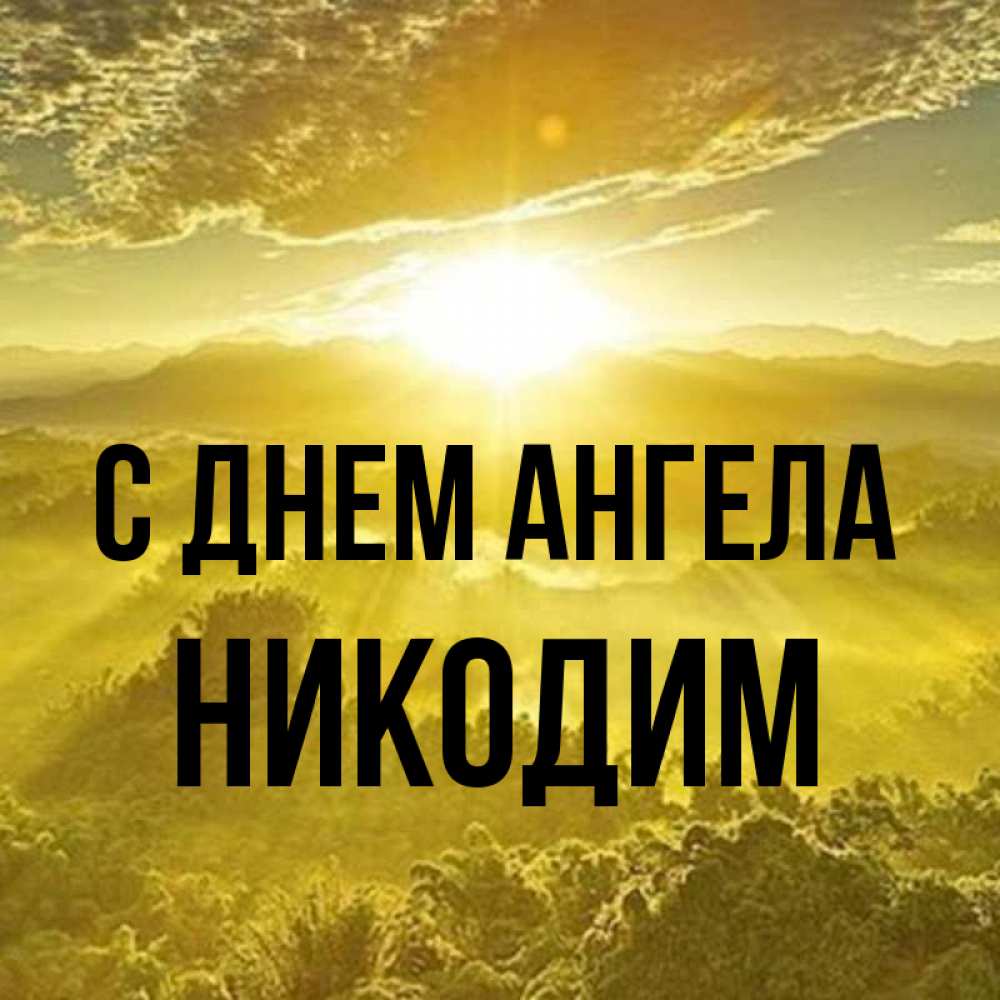 Открытка на каждый день с именем, Никодим С днем ангела леса и небо в желтом Прикольная открытка с пожеланием онлайн скачать бесплатно 