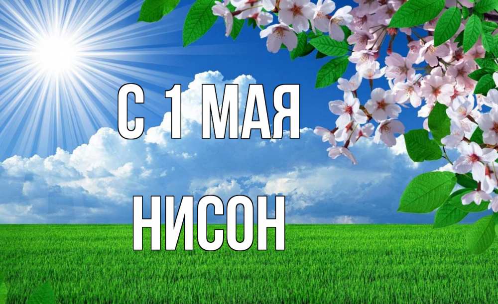 Открытка на каждый день с именем, Нисон С 1 мая С 1 мая Прикольная открытка с пожеланием онлайн скачать бесплатно 