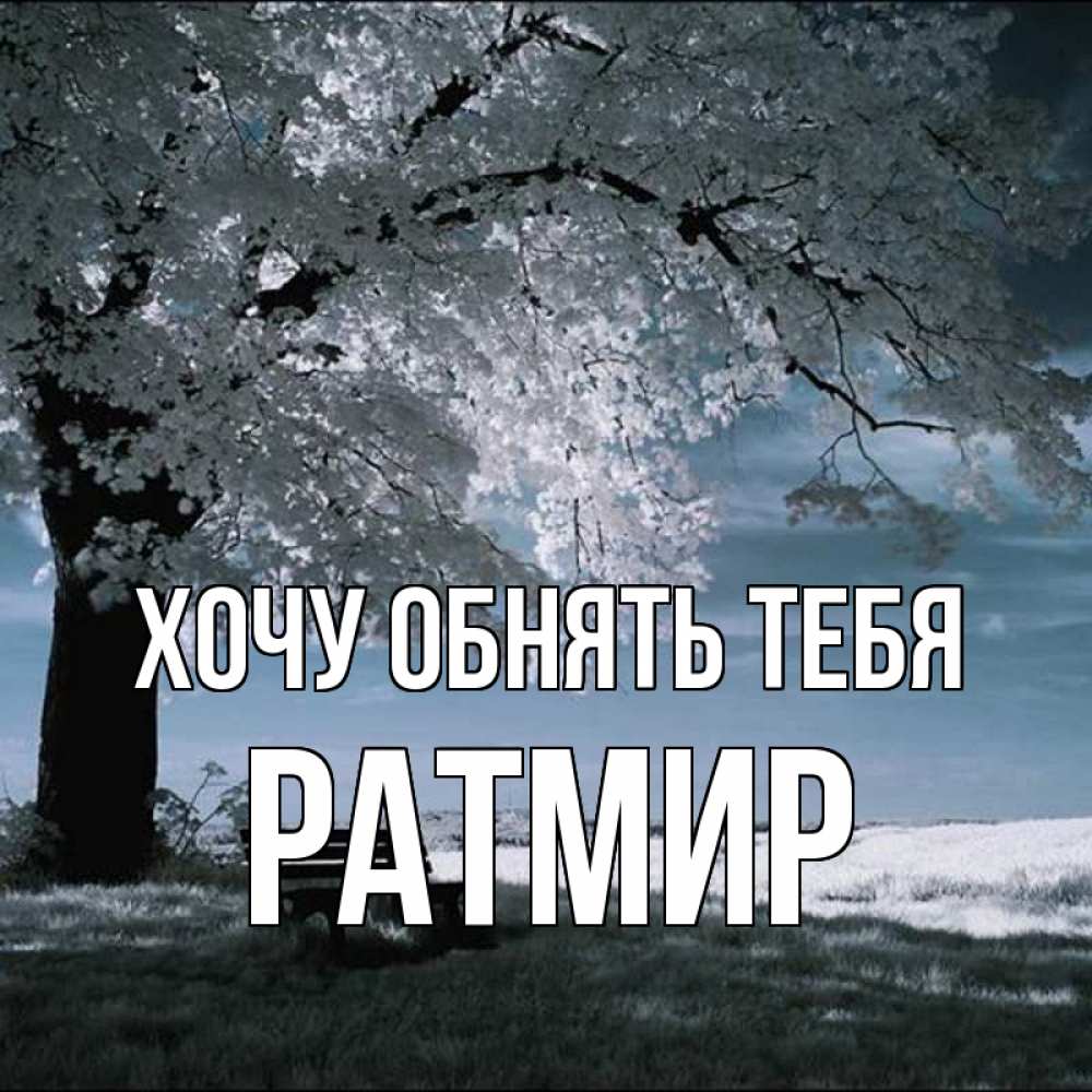 Открытка на каждый день с именем, Ратмир Хочу обнять тебя дерево Прикольная открытка с пожеланием онлайн скачать бесплатно 