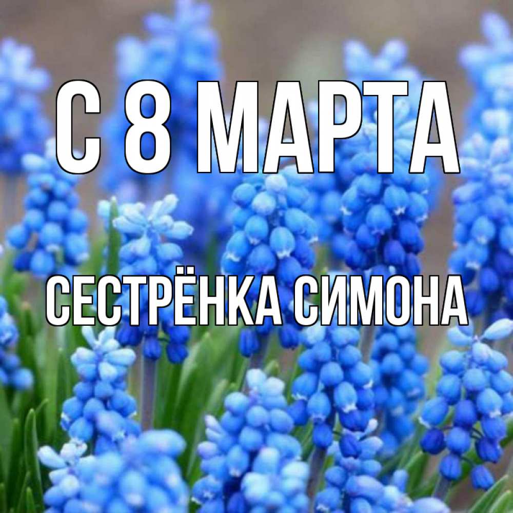 Открытка на каждый день с именем, Сестрёнка-Симона С 8 МАРТА Поздравительная открытка для женщин с цветами на праздничную дату Прикольная открытка с пожеланием онлайн скачать бесплатно 