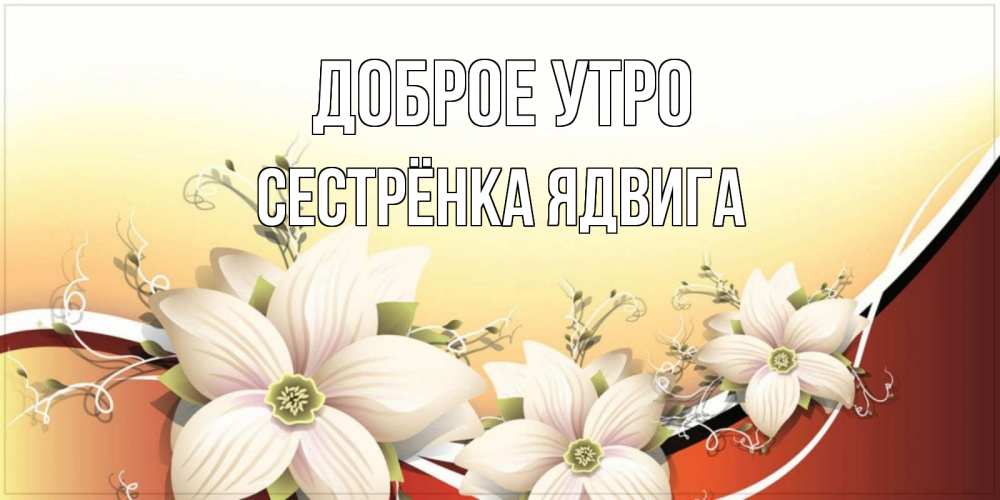 Открытка на каждый день с именем, Сестрёнка-Ядвига Доброе утро пожелания доброго утра Прикольная открытка с пожеланием онлайн скачать бесплатно 
