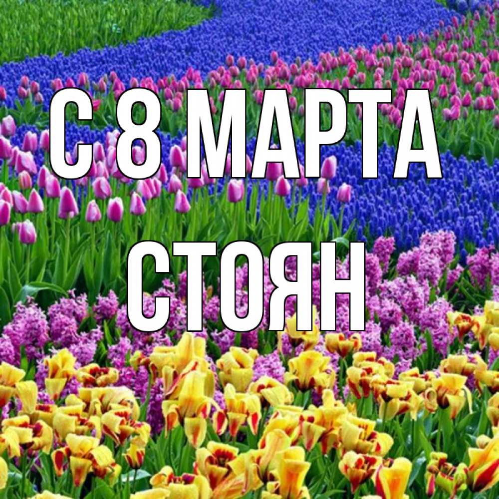 Открытка на каждый день с именем, Стоян С 8 МАРТА цветы Прикольная открытка с пожеланием онлайн скачать бесплатно 