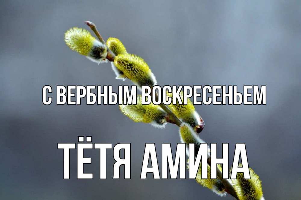 Открытка на каждый день с именем, Тётя-Амина С вербным воскресеньем верба Прикольная открытка с пожеланием онлайн скачать бесплатно 