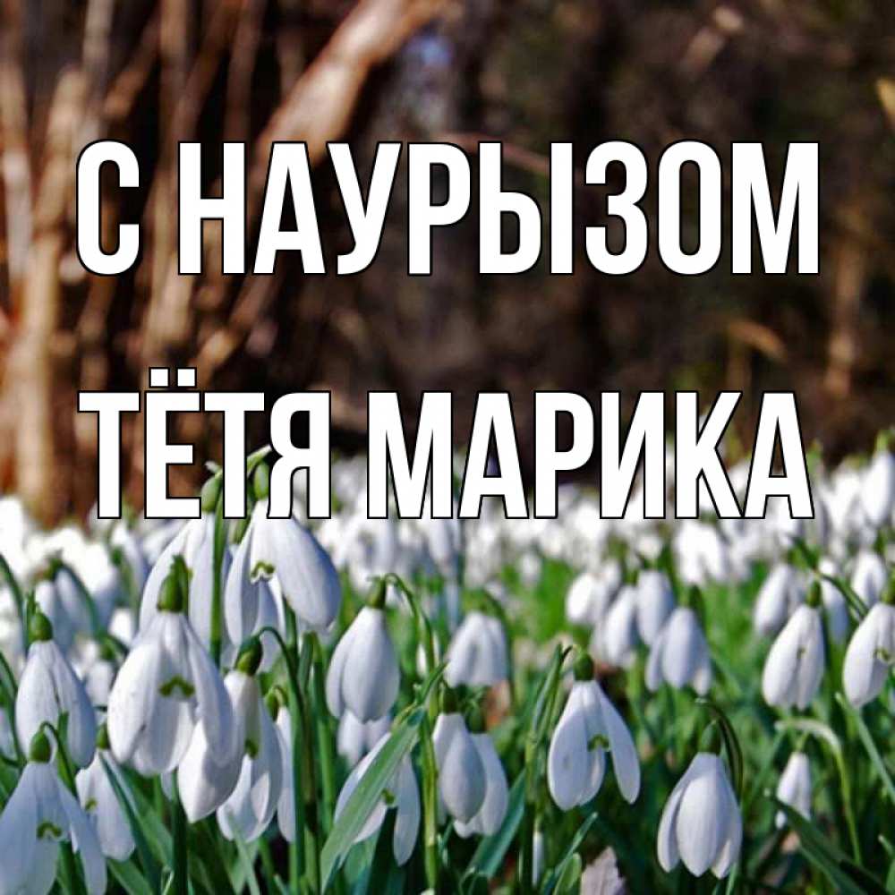 Открытка на каждый день с именем, Тётя-Марика С наурызом с подснежниками 1 Прикольная открытка с пожеланием онлайн скачать бесплатно 