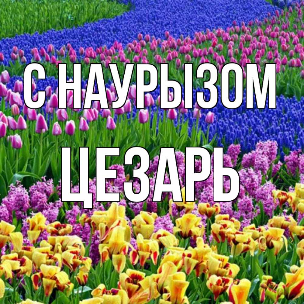 Открытка на каждый день с именем, Цезарь С наурызом цветы Прикольная открытка с пожеланием онлайн скачать бесплатно 