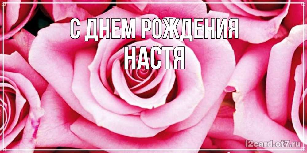 Открытка на каждый день с именем, настя С днем рождения открытка с розовой розой на день рождения Прикольная открытка с пожеланием онлайн скачать бесплатно 