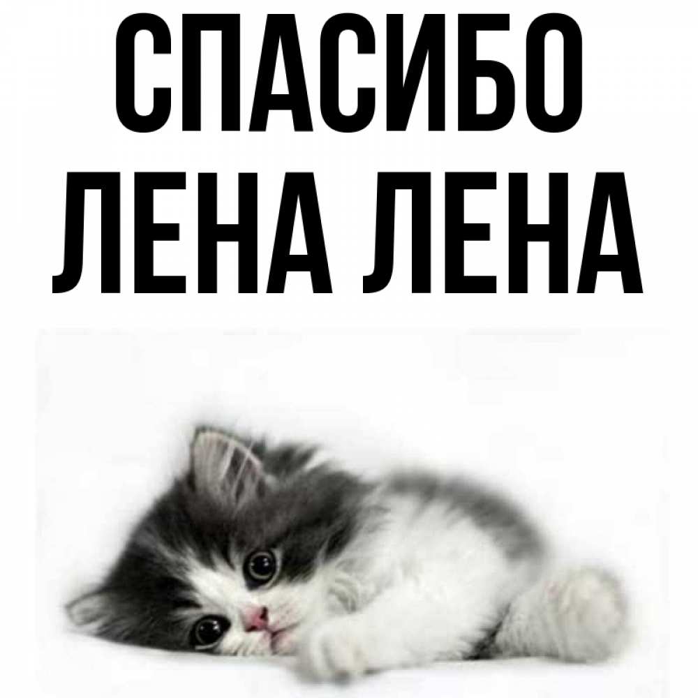 Прикольные картинки для лены