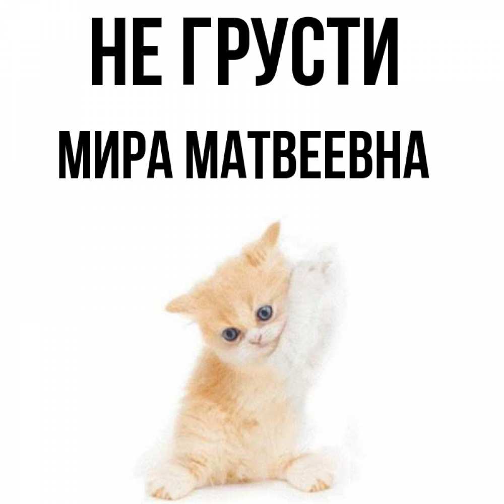 Не грусти прошу тебя моя. Не грусти прошу тебя моя. Не грусти прошу тебя моя. Не грусти прошу тебя моя. Не грусти прошу тебя моя.