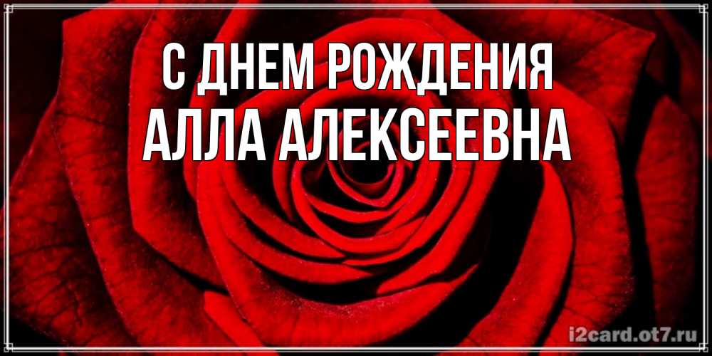 Открытка на каждый день с именем, Алла-алексеевна С днем рождения алая роза Прикольная открытка с пожеланием онлайн скачать бесплатно 