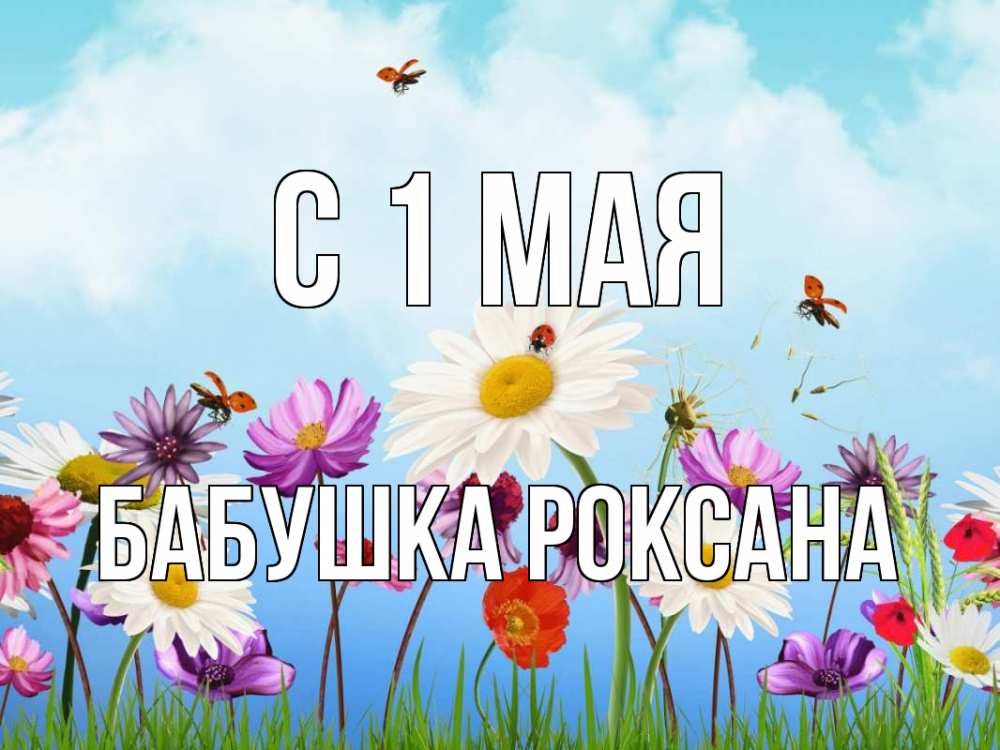 Открытка на каждый день с именем, Бабушка-Роксана С 1 мая С 1 мая Прикольная открытка с пожеланием онлайн скачать бесплатно 