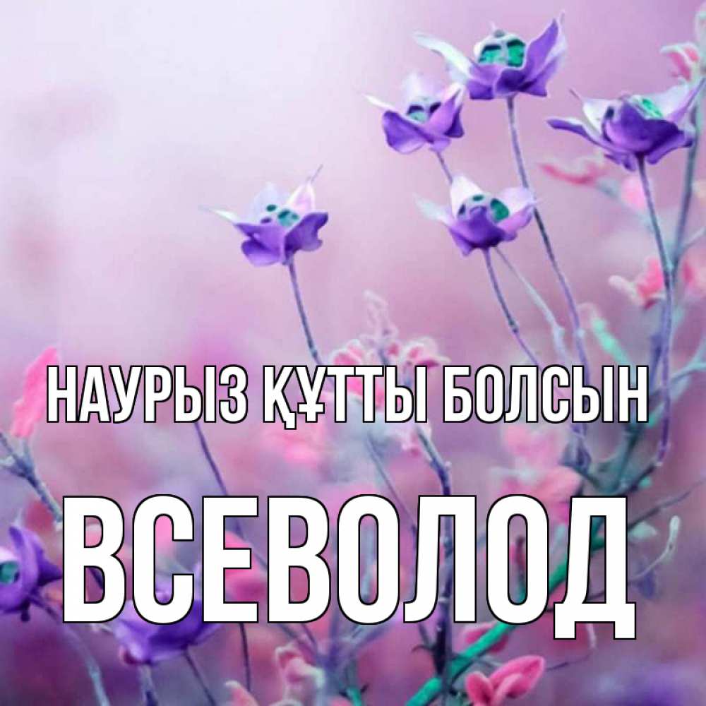 Открытка на каждый день с именем, Всеволод Наурыз құтты болсын наурыз  2 Прикольная открытка с пожеланием онлайн скачать бесплатно 