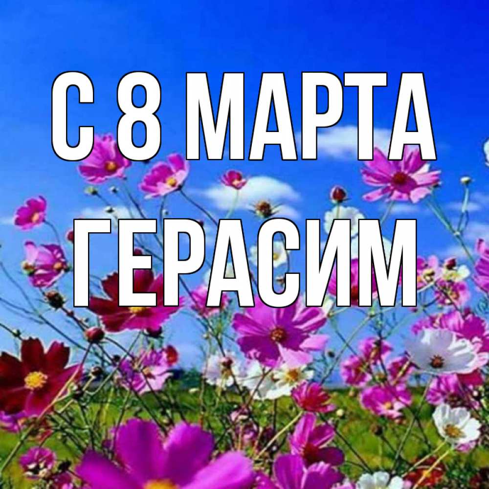Открытка на каждый день с именем, Герасим С 8 МАРТА цветы Прикольная открытка с пожеланием онлайн скачать бесплатно 