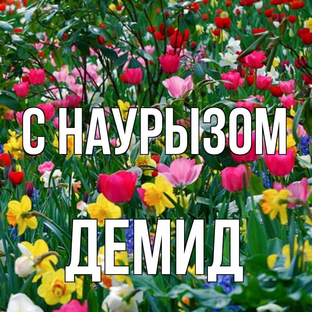 Открытка на каждый день с именем, Демид С наурызом с наурызом праздником весны поздравления для женщины Прикольная открытка с пожеланием онлайн скачать бесплатно 