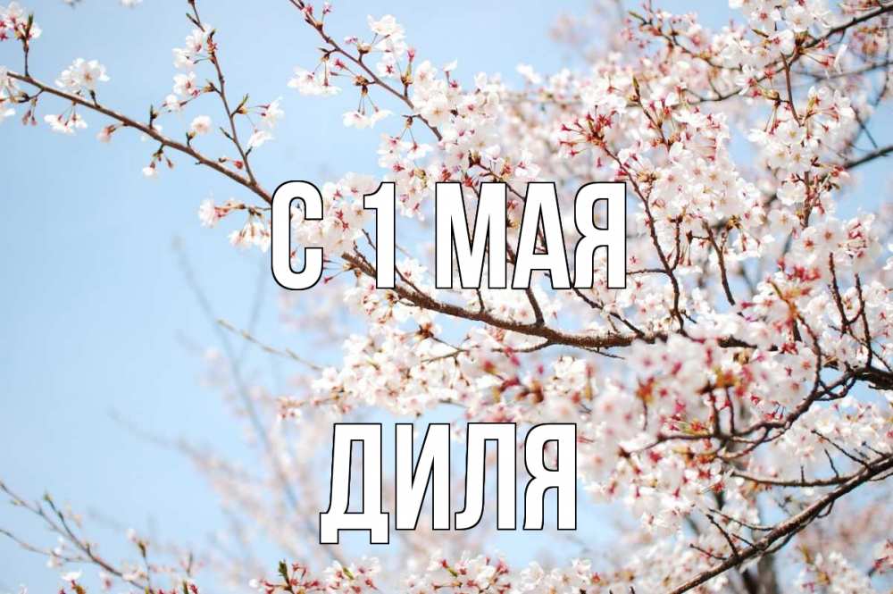 Открытка на каждый день с именем, Диля С 1 мая С 1 мая Прикольная открытка с пожеланием онлайн скачать бесплатно 