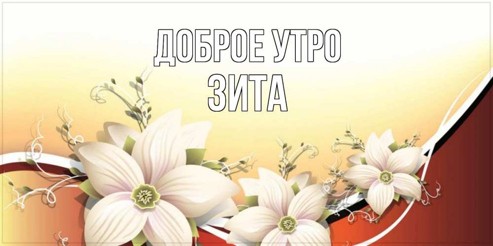 Открытка на каждый день с именем, Зита Доброе утро пожелания доброго утра Прикольная открытка с пожеланием онлайн скачать бесплатно 