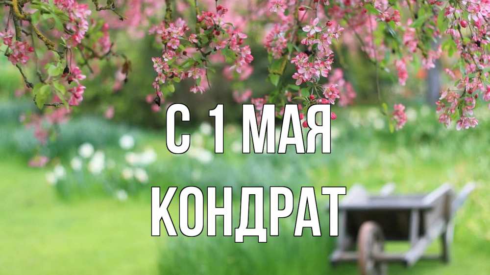 Открытка на каждый день с именем, Кондрат С 1 мая С 1 мая Прикольная открытка с пожеланием онлайн скачать бесплатно 