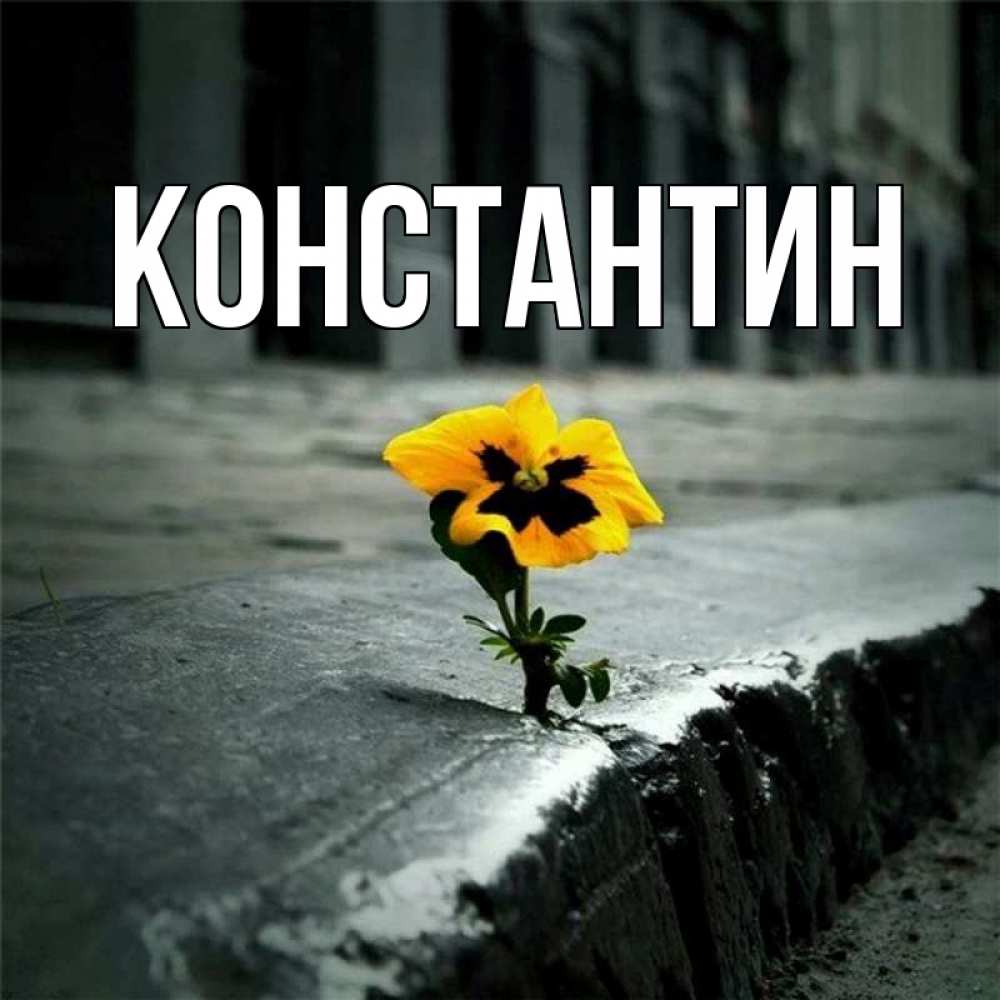 Открытка на каждый день с именем, Константин Главная не сдавайся Прикольная открытка с пожеланием онлайн скачать бесплатно 