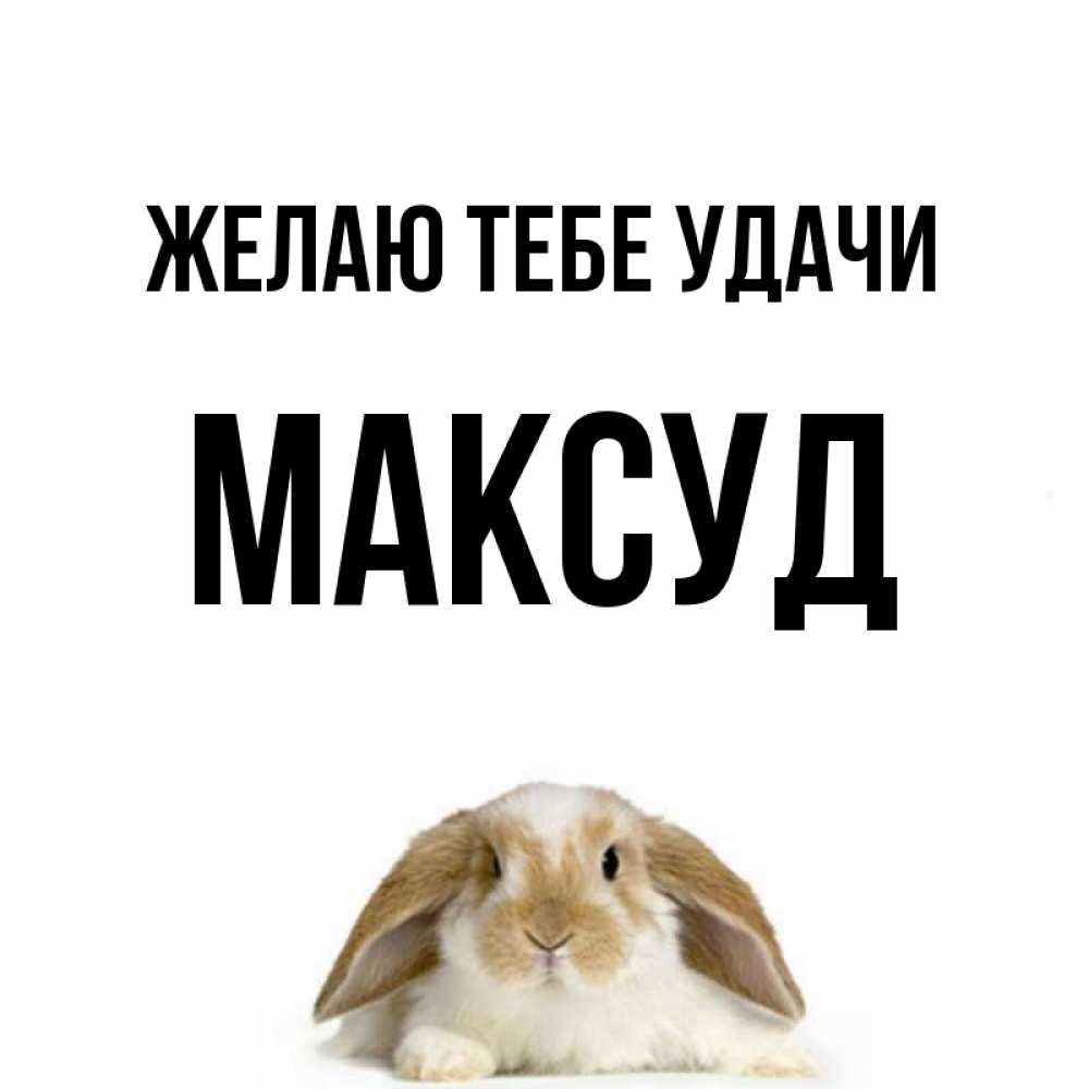 Открытка на каждый день с именем, Максуд Желаю тебе удачи открытки с произвольным текстом который можно вставить в открытку и создать ее самостоятельно бесплатно онлайн Прикольная открытка с пожеланием онлайн скачать бесплатно 