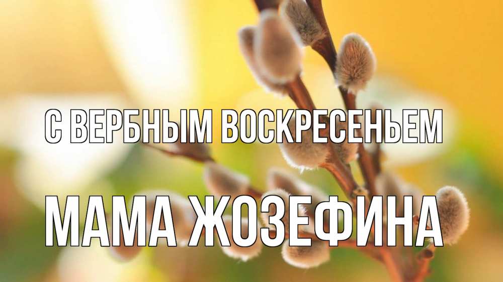 Открытка на каждый день с именем, Мама-Жозефина С вербным воскресеньем верба 1 Прикольная открытка с пожеланием онлайн скачать бесплатно 