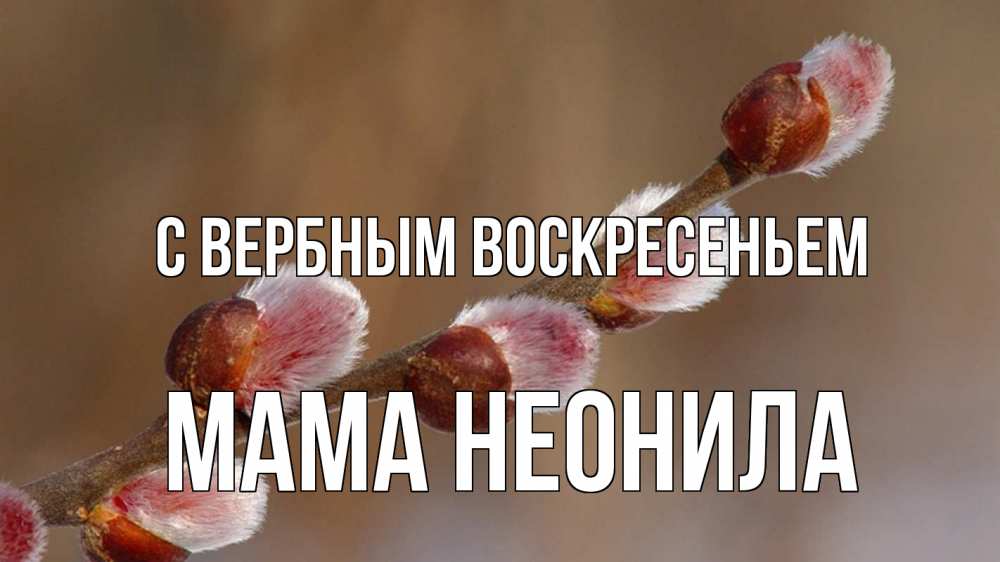 Открытка на каждый день с именем, Мама-Неонила С вербным воскресеньем верба Прикольная открытка с пожеланием онлайн скачать бесплатно 