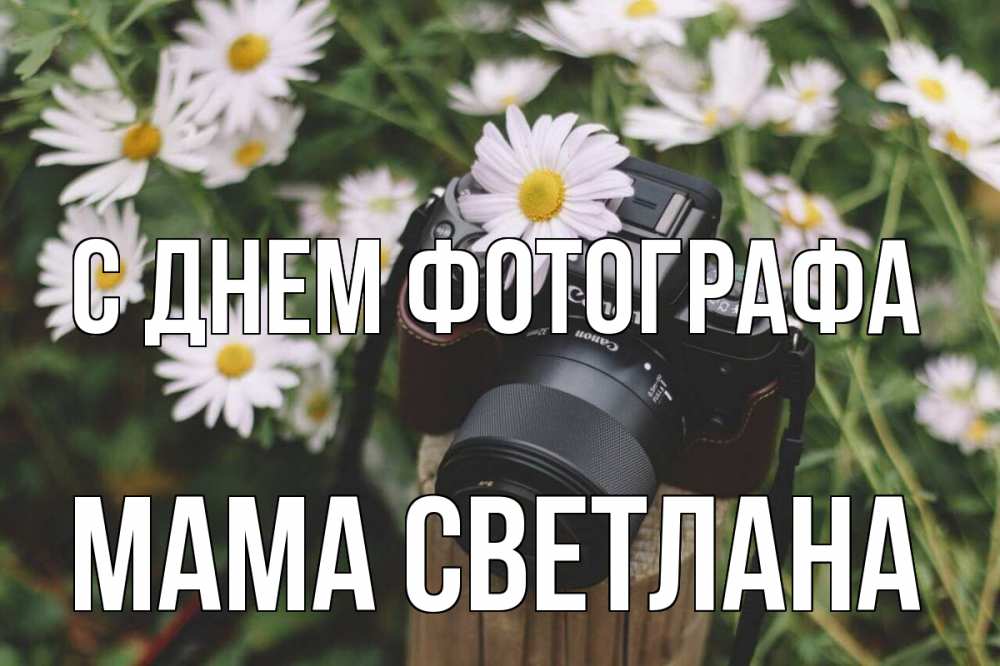 Открытка на каждый день с именем, Мама-Светлана С днем фотографа с днем фотографа Прикольная открытка с пожеланием онлайн скачать бесплатно 