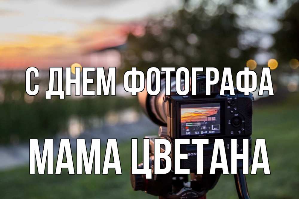Открытка на каждый день с именем, Мама-Цветана С днем фотографа с днем фотографа Прикольная открытка с пожеланием онлайн скачать бесплатно 