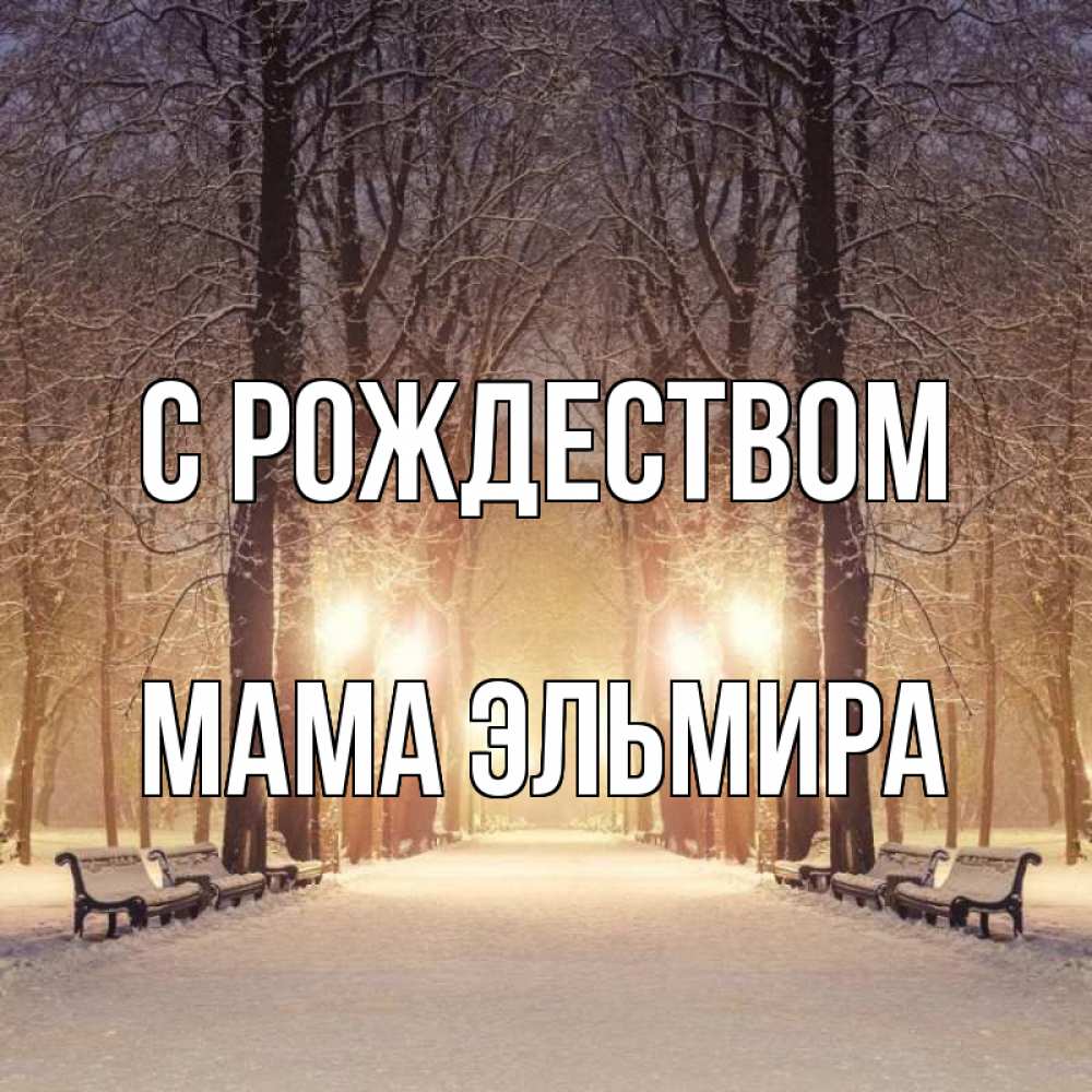 Открытка на каждый день с именем, Мама-Эльмира С рождеством зима, парк, фонарь, лес Прикольная открытка с пожеланием онлайн скачать бесплатно 