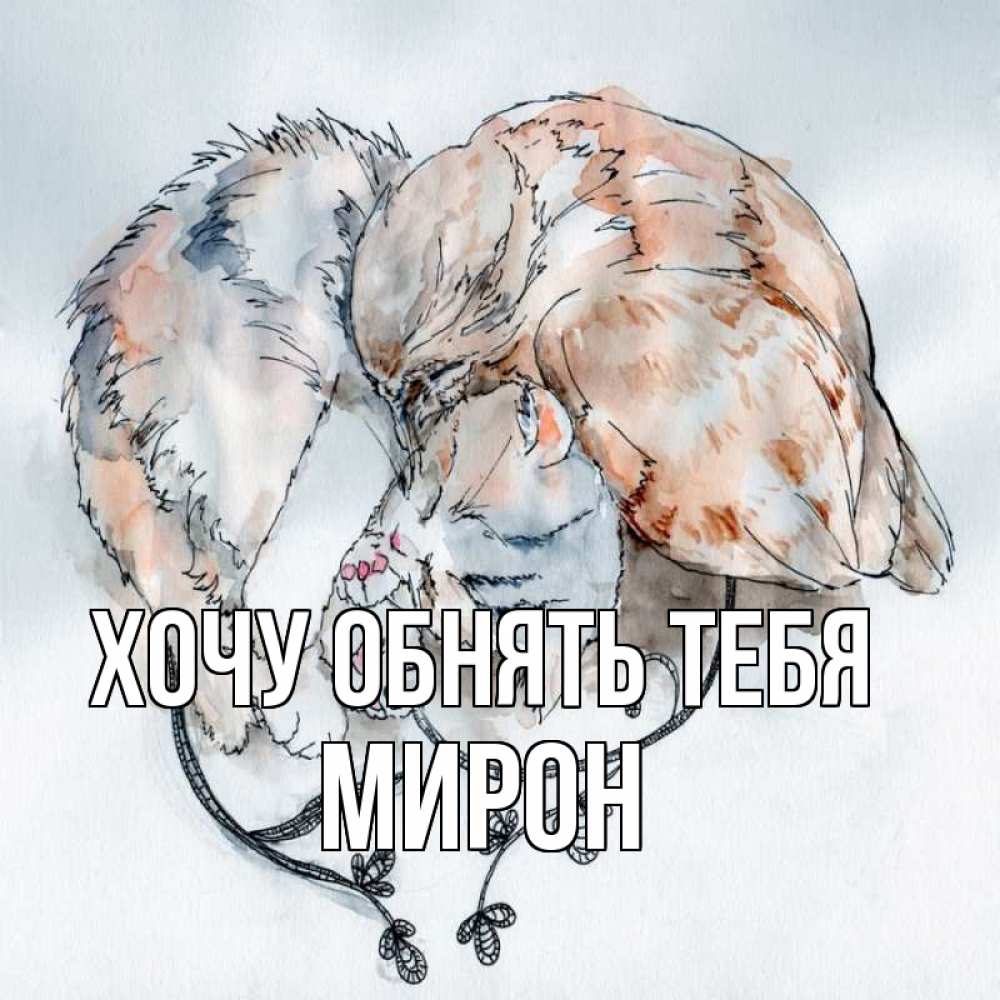 Открытка на каждый день с именем, Мирон Хочу обнять тебя можно быть вместе даже когда очень разные Прикольная открытка с пожеланием онлайн скачать бесплатно 