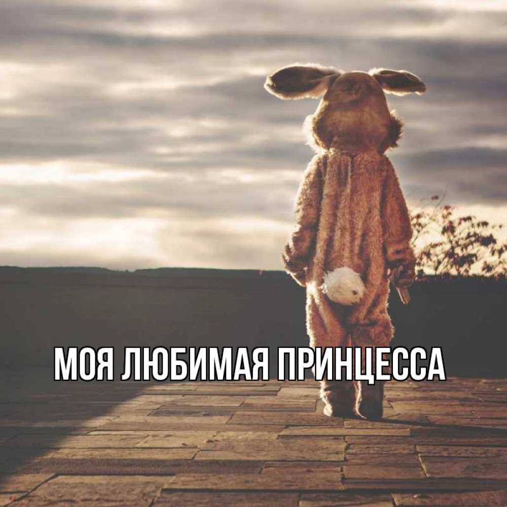 Открытка на каждый день с именем, Моя-Любимая-Принцесса Главная со спины Прикольная открытка с пожеланием онлайн скачать бесплатно 