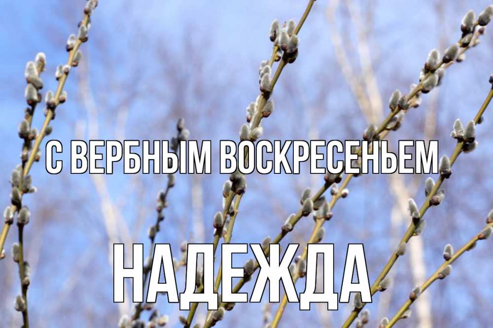 Открытка на каждый день с именем, Надежда С вербным воскресеньем верба Прикольная открытка с пожеланием онлайн скачать бесплатно 