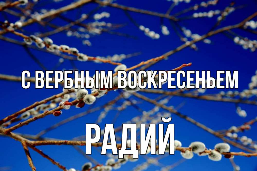 Открытка на каждый день с именем, Радий С вербным воскресеньем верба Прикольная открытка с пожеланием онлайн скачать бесплатно 