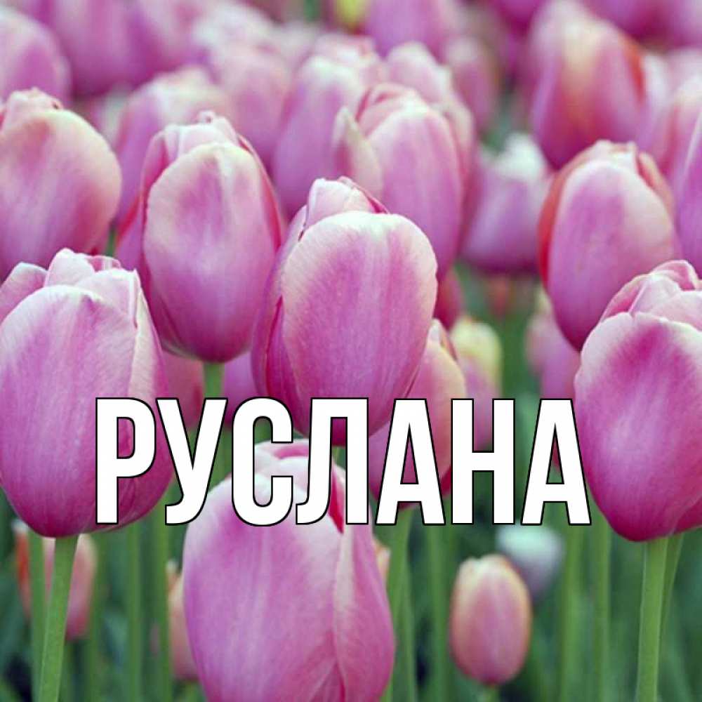 Открытка на каждый день с именем, Руслана Главная праздник весны наурыз 69 Прикольная открытка с пожеланием онлайн скачать бесплатно 