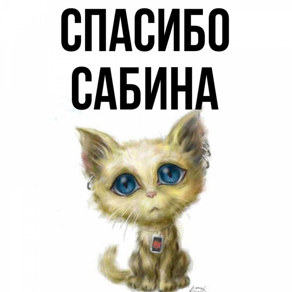 Открытка на каждый день с именем, Сабина Спасибо рисованный кот благодарит вас Прикольная открытка с пожеланием онлайн скачать бесплатно 