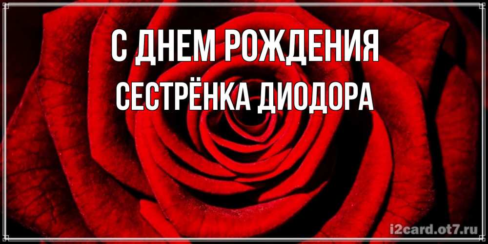 Открытка на каждый день с именем, Сестрёнка-Диодора С днем рождения алая роза Прикольная открытка с пожеланием онлайн скачать бесплатно 