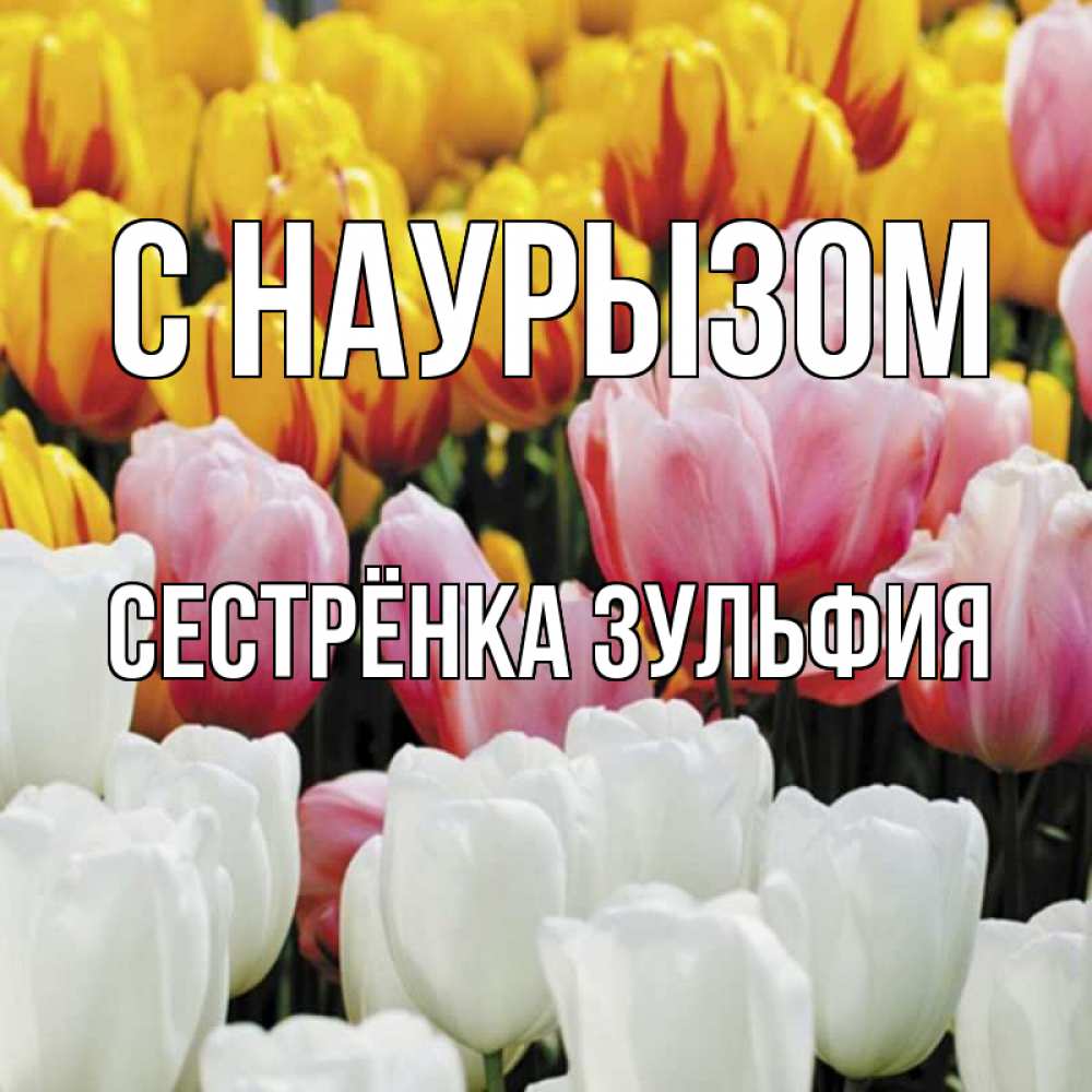 Открытка на каждый день с именем, Сестрёнка-Зульфия С наурызом разноцветные цветы Прикольная открытка с пожеланием онлайн скачать бесплатно 