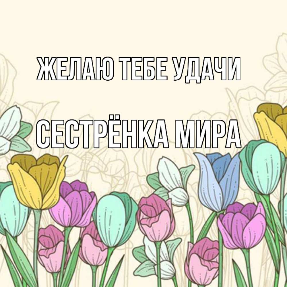 Открытка на каждый день с именем, Сестрёнка-Мира Желаю тебе удачи тюльпаны Прикольная открытка с пожеланием онлайн скачать бесплатно 