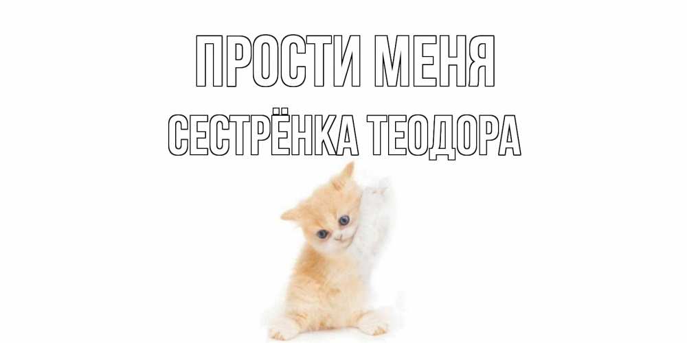 Открытка на каждый день с именем, Сестрёнка-Теодора Прости меня кот Прикольная открытка с пожеланием онлайн скачать бесплатно 